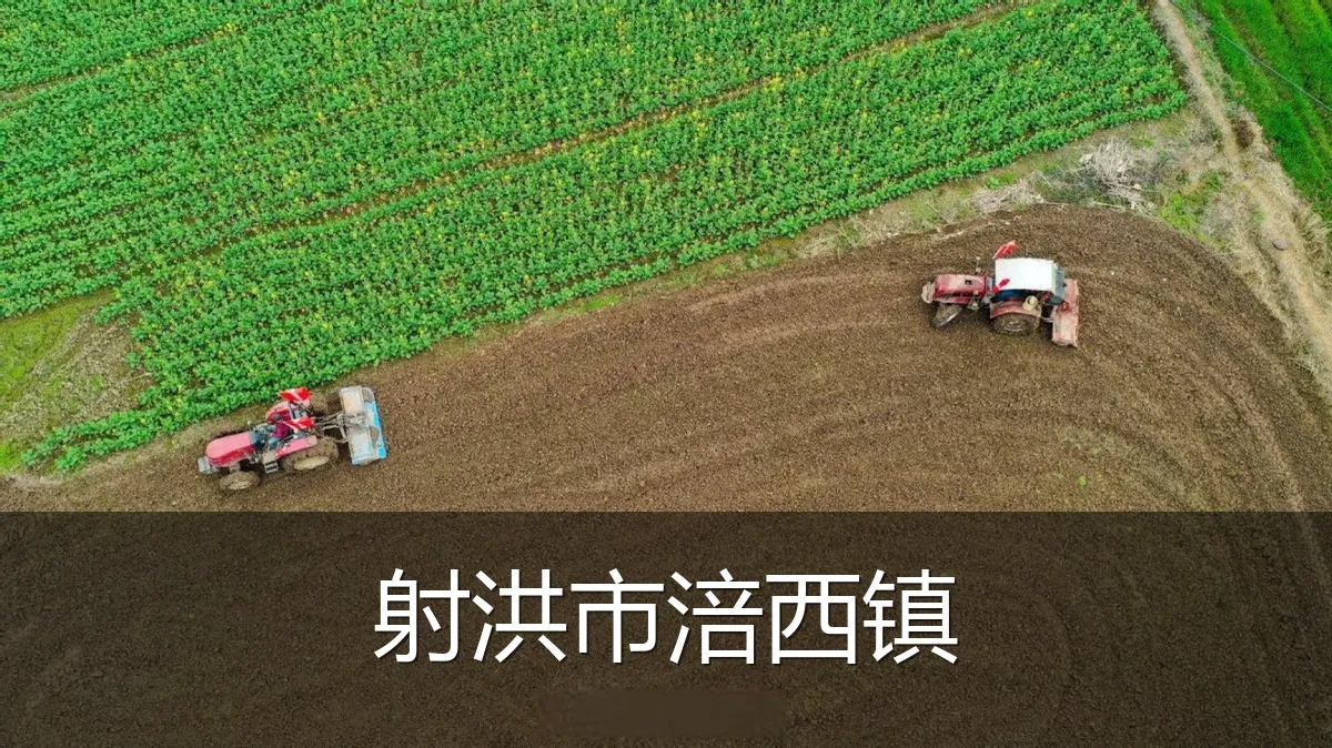射洪市涪西镇
