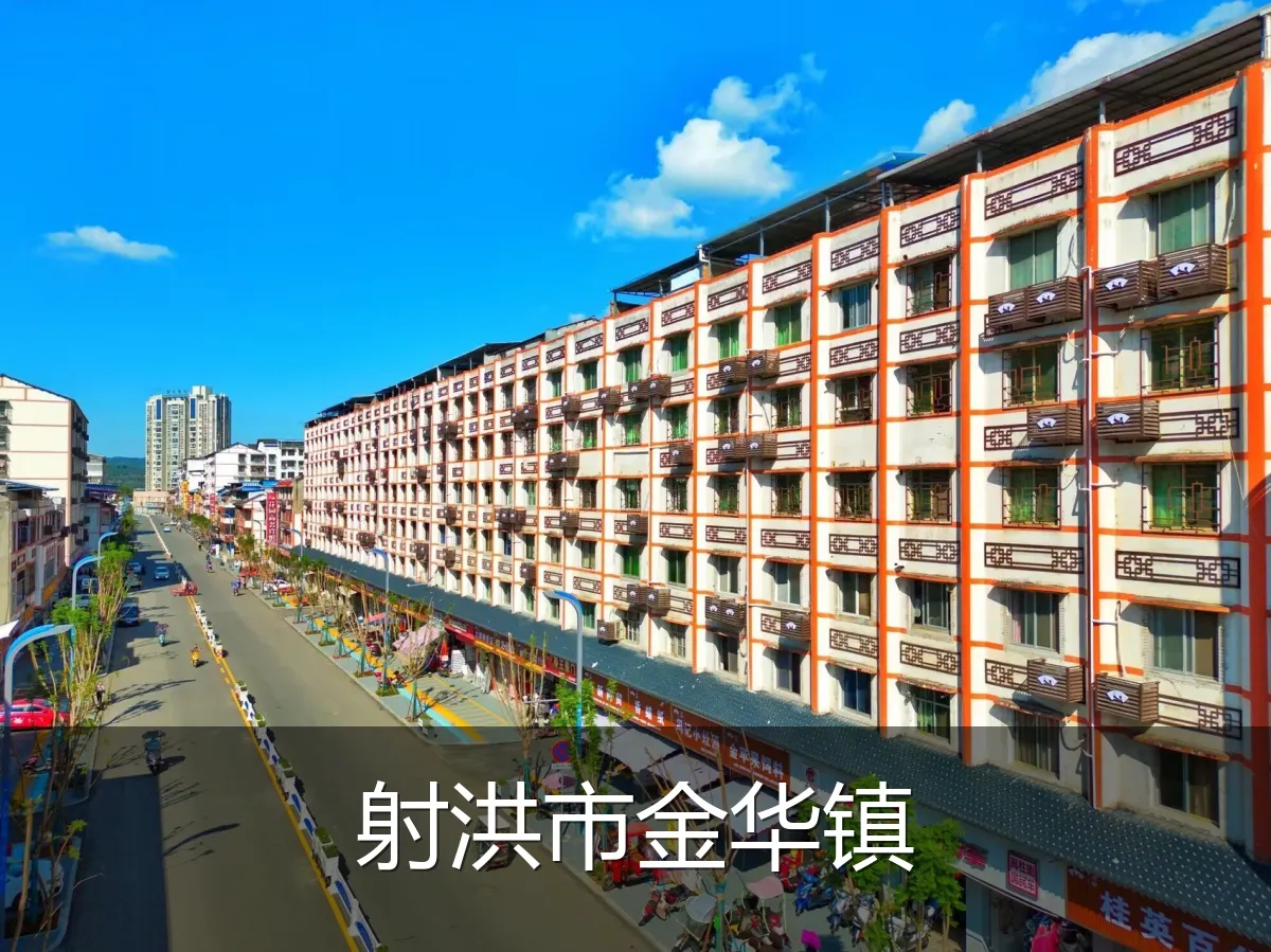 射洪市金华镇